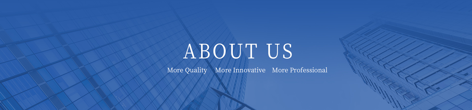 Company Profile